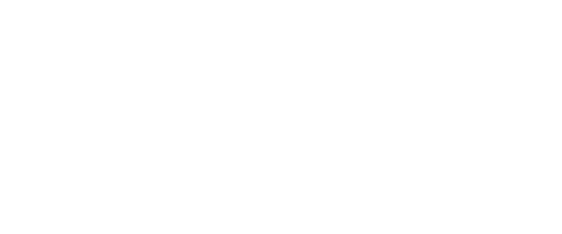 Develop:Brighton logo
