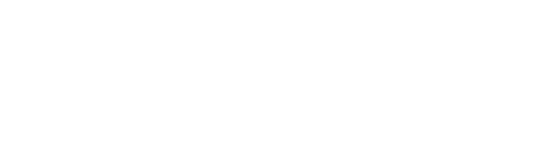 MeetToMatch Logo